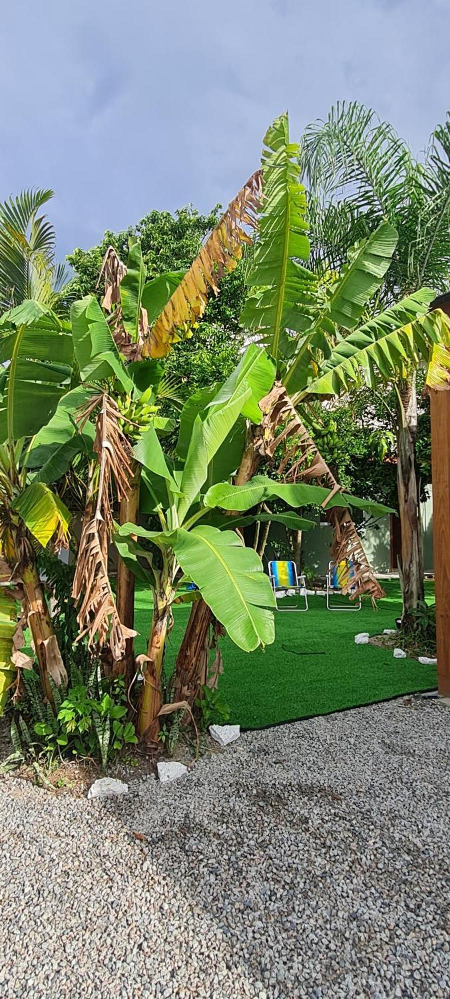 Homestay Breeze Floripa - Campeche