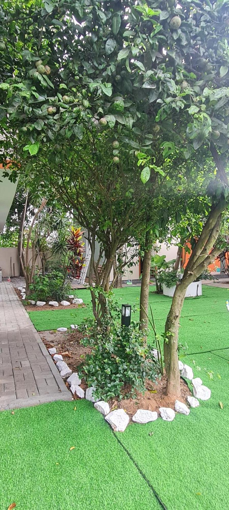 Homestay Breeze Floripa - Campeche Florianopolis